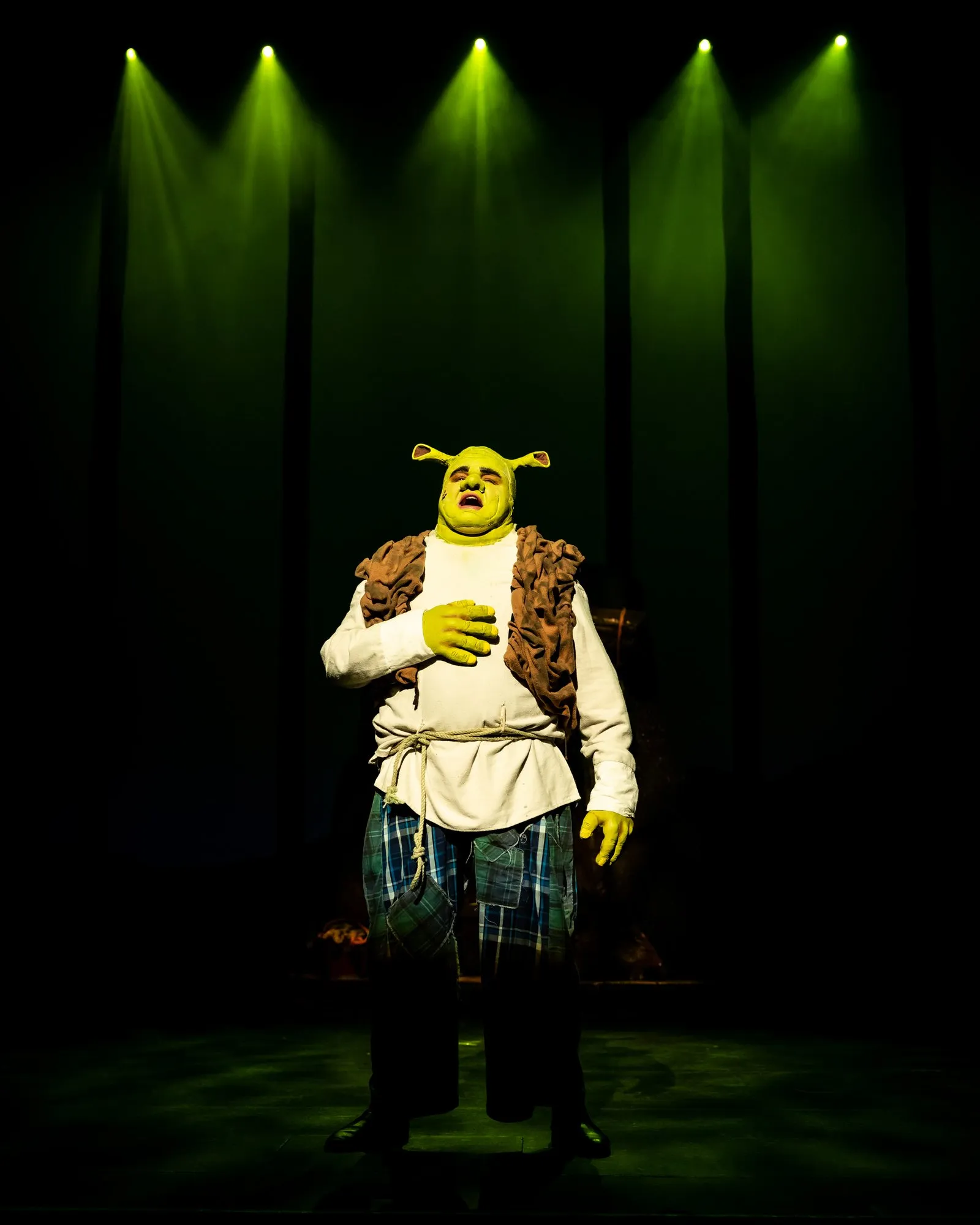 Shrek the Musical — SYMT production photo 1