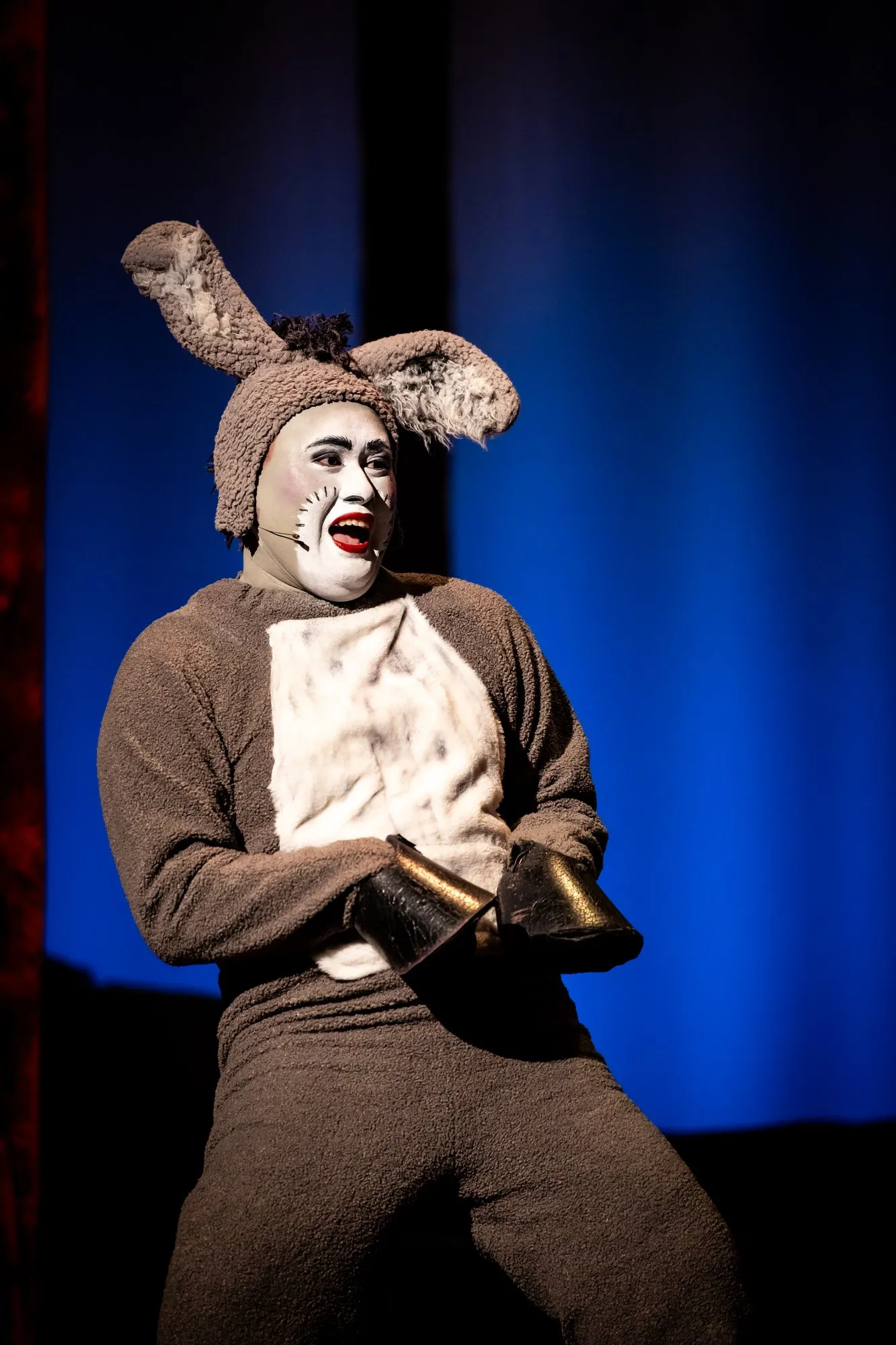 Shrek the Musical — SYMT production photo 3