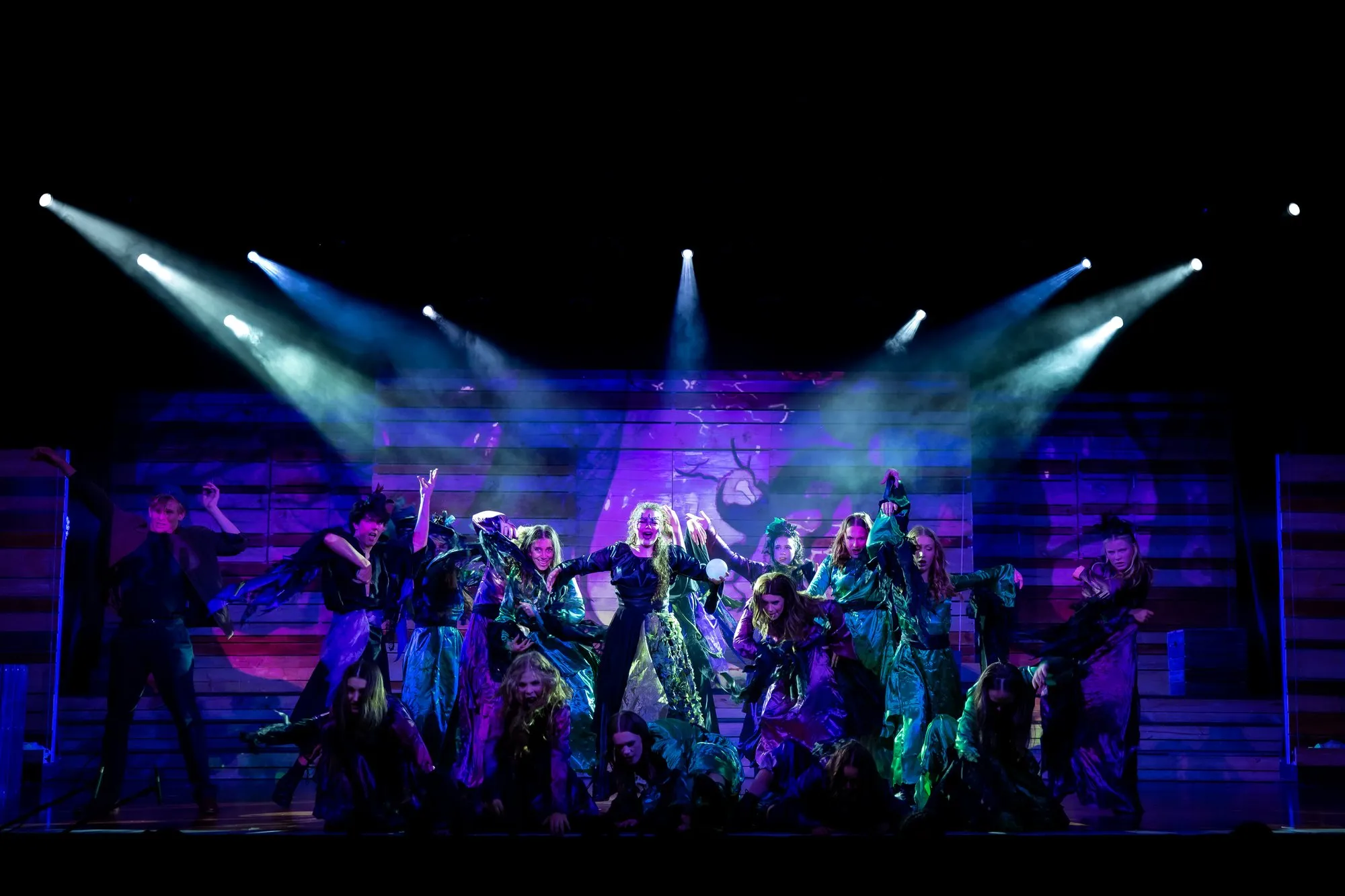 Big Fish — SYMT production photo 4