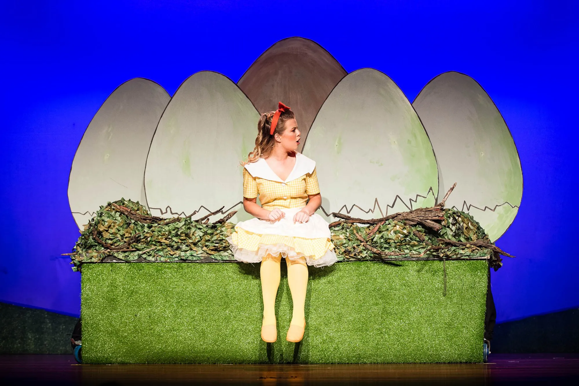 Honk! — SYMT 2019