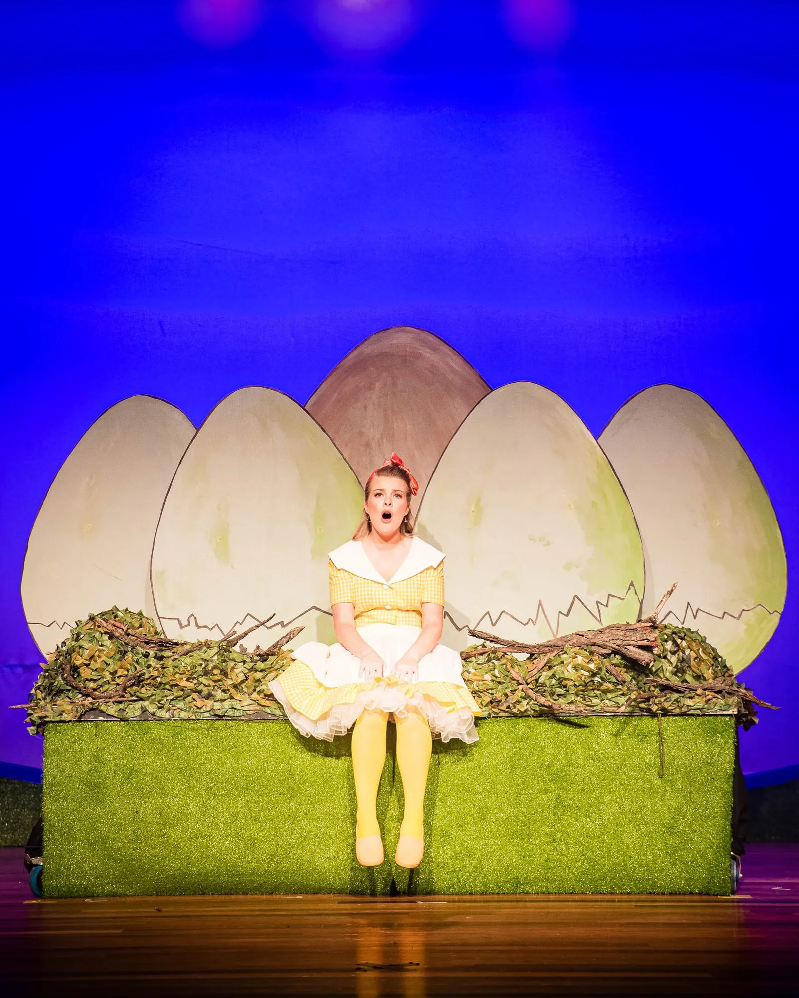 Honk! — SYMT production photo 6