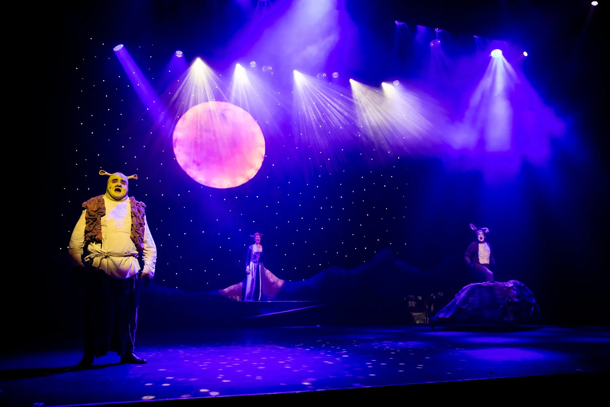 Shrek the Musical — SYMT production photo 8