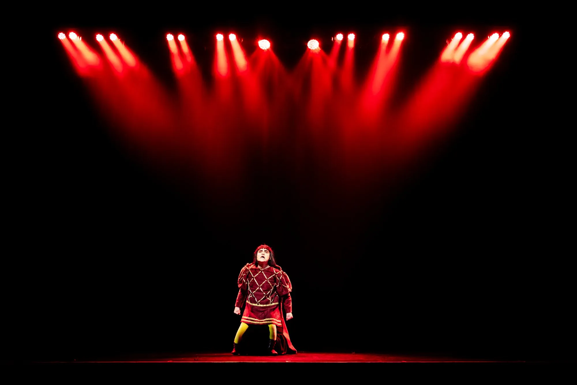 Shrek the Musical — SYMT photo 12