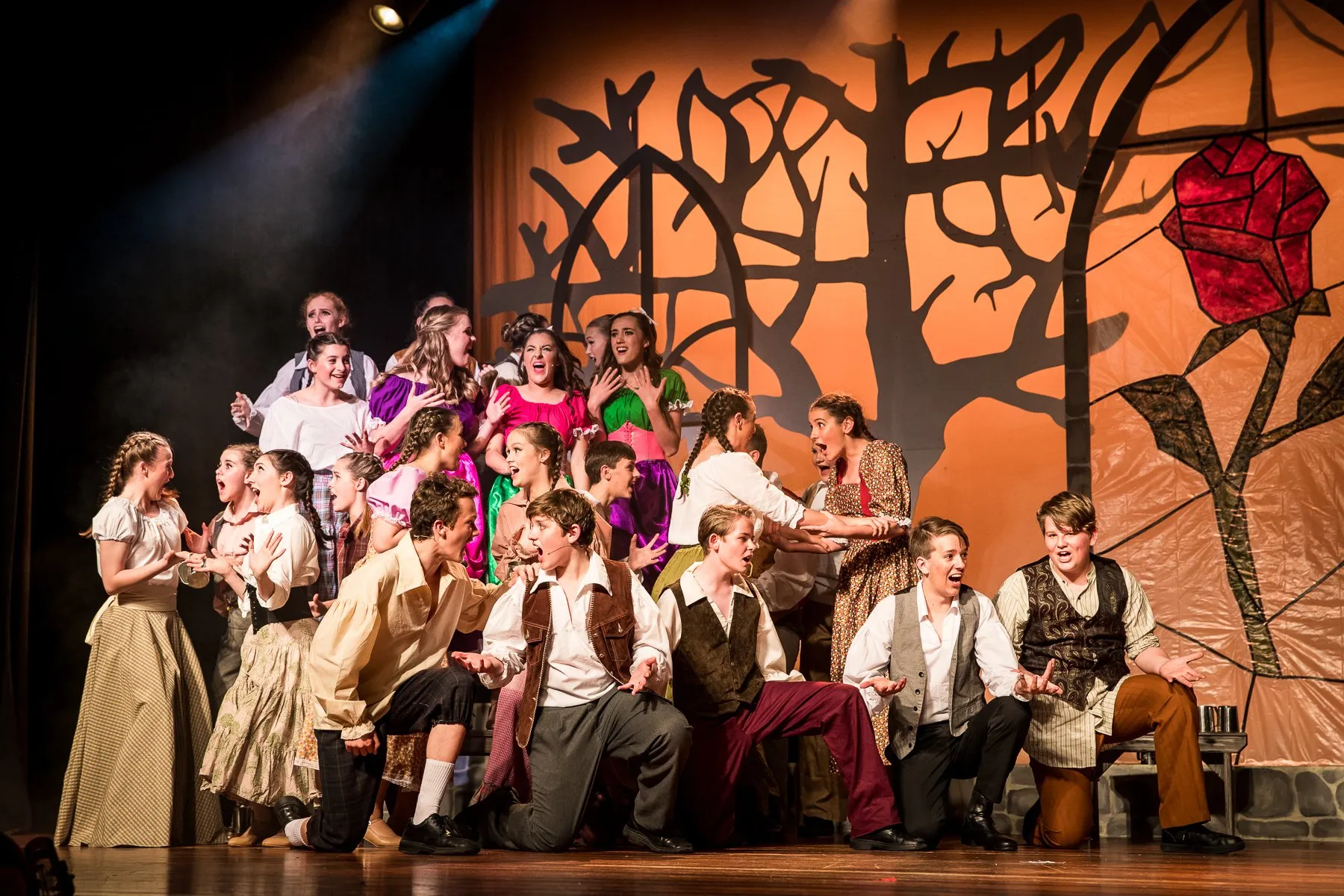 Beauty And The Beast — SYMT production photo 13