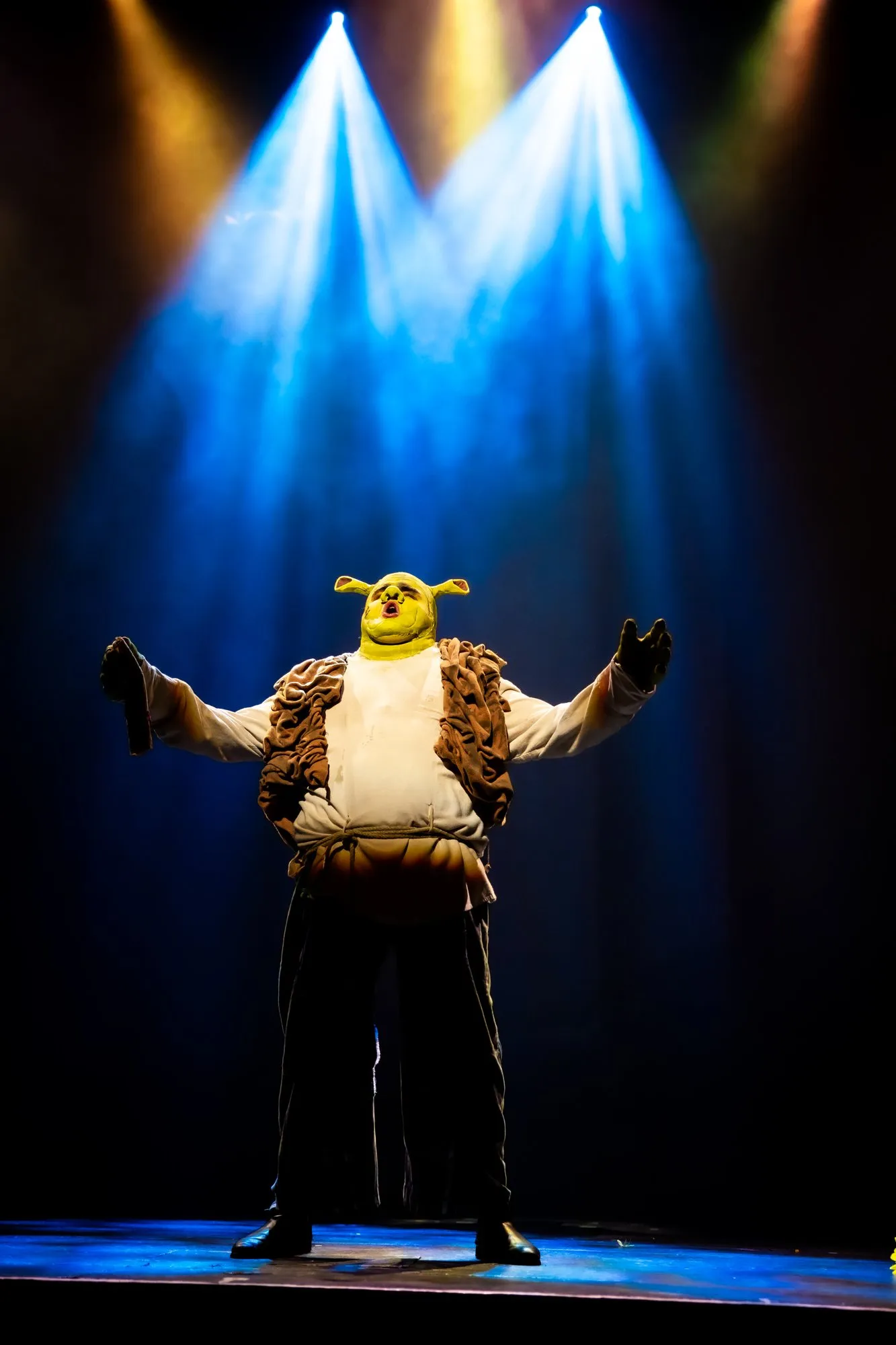 Shrek the Musical — SYMT production photo 14