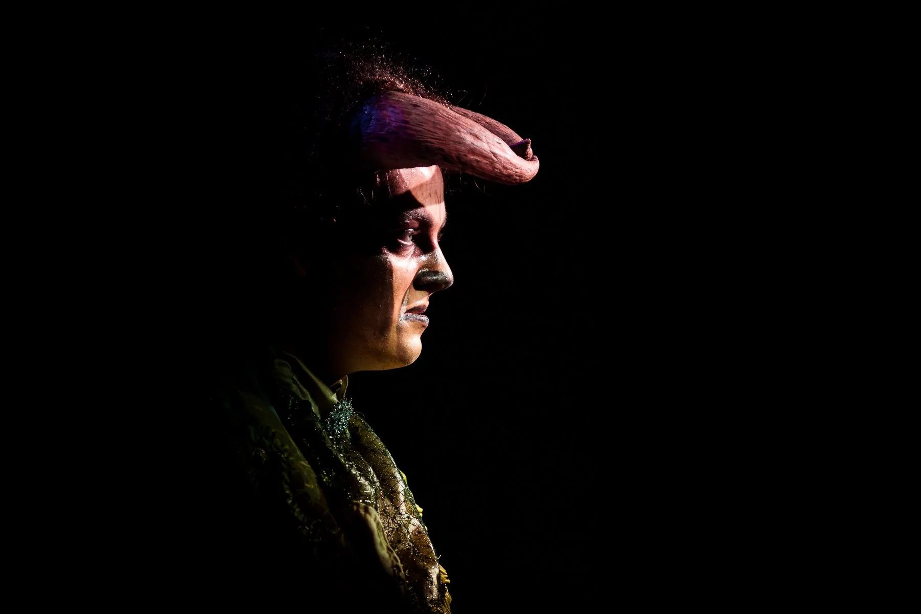 Beauty And The Beast — SYMT production photo 21