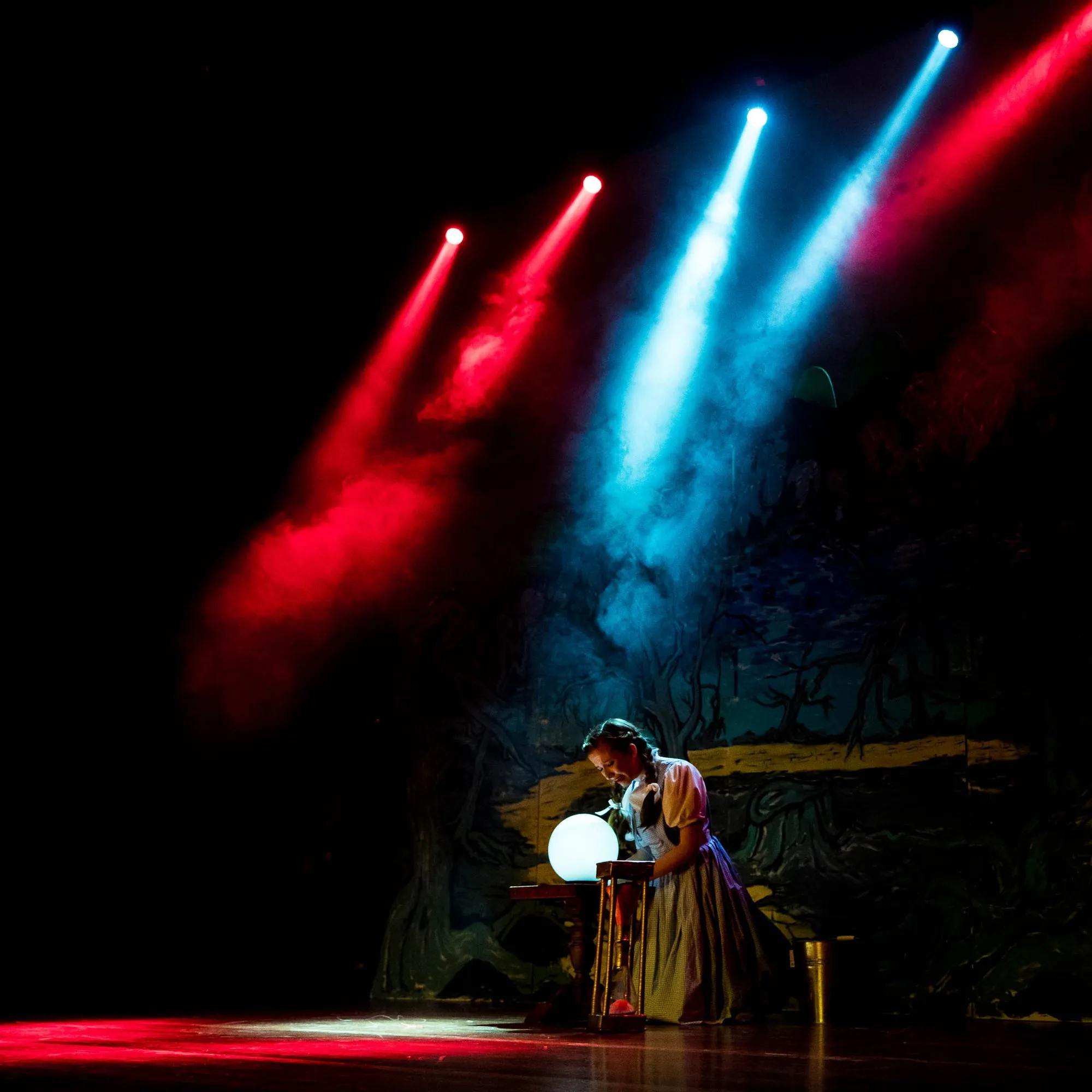 Wizard Of Oz — SYMT production photo 36